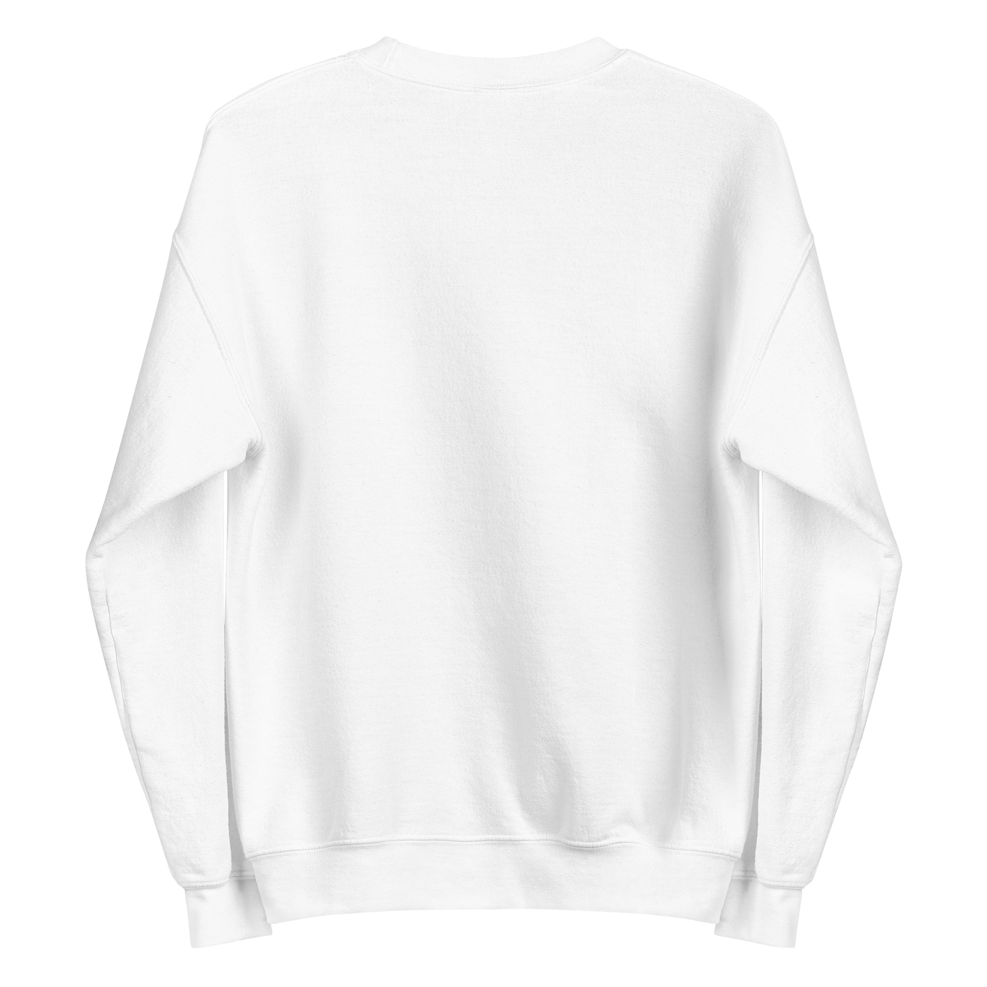 Misinformation Sweatshirt - Image 2